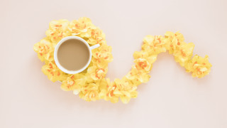 Coffee flower garland white surface - liminal space free wallpaper