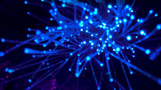 Blue flower holographic neon glow - many free wallpaper