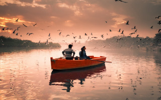 Lake birds sunset couple boat - overhead free wallpaper