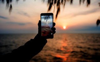 Sunset ocean palm tree phone - a cell free wallpaper
