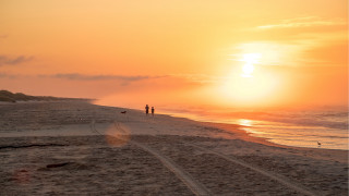 Beach sunset kite people horizon - impressionist free wallpaper
