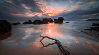 Tree beach sunset clouds matte - a sunset in the background free wallpaper