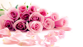 Pink roses bouquet ground petals - a bouquet free wallpaper