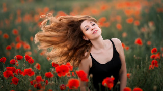 Woman long hair flower field 5 - the wind free wallpaper