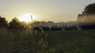 Sunset foggy forest lake cityscape - a sun free wallpaper