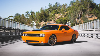 Orange car bridge forest 3D - a.d.m. cooper free wallpaper