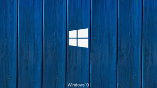 Blue wooden wall white cat - a white cat free wallpaper