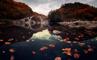 Bridge river autumn leaves fire - david boyd free wallpaper