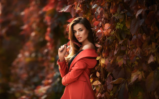 Woman red dress autumn leaves 3 - a portrait free wallpaper