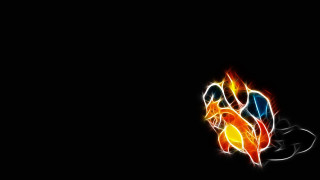 Colorful fire bird black background - wallpaper free wallpaper