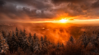 Sunset forest trees clouds distant - the background and a sun free wallpaper
