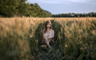 Woman sitting field blurry background - her knee free wallpaper