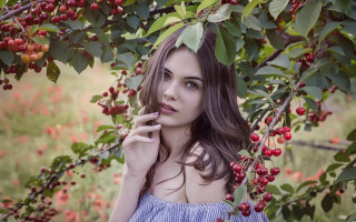 Woman blue dress berry tree - under a tree free wallpaper