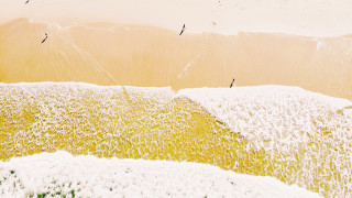Kiteboard group wave beach sunset - art free wallpaper for desktop