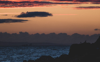 Ocean sunset rock bird boat - a rock near the ocean free wallpaper