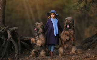 Girl hat coat dogs forest - a forest setting free wallpaper