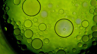 Green liquid bubbles macro bokeh - dahlov ipcar free wallpaper