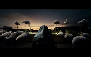 Woman black veil flamingos sunset - a dark sky free wallpaper