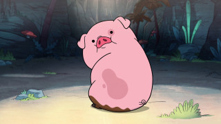 Cartoon pig forest light shining - the ground in a forest free wallpaper