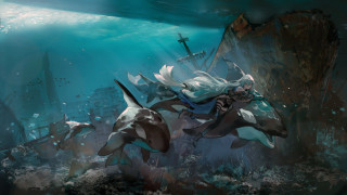 Woman shark boat ocean cross - armin hansen free wallpaper