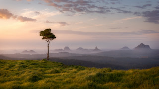 Lone tree grassy hill mountains 5 - a lone tree free wallpaper