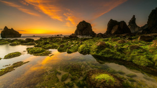 Sunset rocky beach green algae - the rock and water free wallpaper