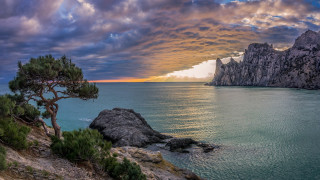 Cliff ocean sunset tree rock - a cliff free wallpaper for desktop