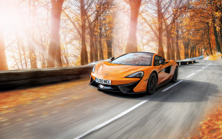Orange sports car woods autumn - the background and a sunbeam free wallpaper