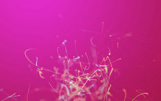 Pink branches red cloud evening - video art free wallpaper