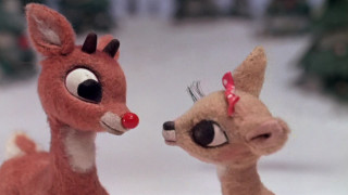 Stuffed animals table christmas tree - a couple free wallpaper