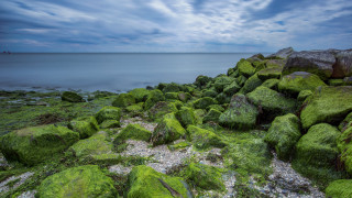 Rocky shore green mossy water - a rocky shore free wallpaper