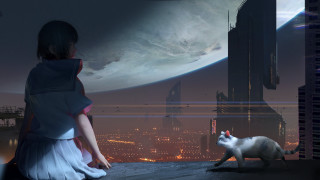 Woman cat cityscape night cyberpunk - a cityscape in the background free wallpaper