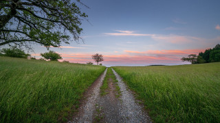 Dirt road field sunset tree - a dirt road in a field free wallpaper