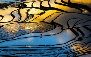 Rice field night sunshine window - chen chun free wallpaper