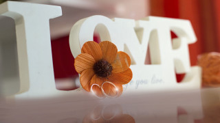 Flower love table background lyco - a table in front free wallpaper