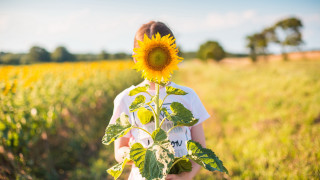 Girl sunflower field blurry sky - young free wallpaper