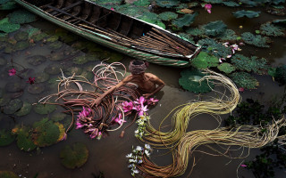 Boat flowers lily pads man - lily pad free wallpaper