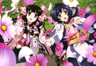Anime girls flowers grass pink - pink petal free wallpaper