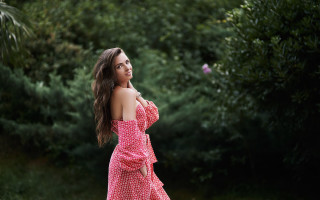 Pink dress woman field forest - a pink dress free wallpaper
