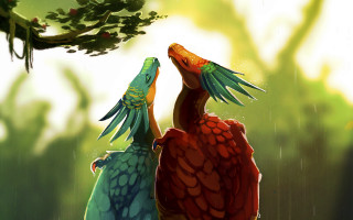 Birds under tree rain fantasy - dragon art free wallpaper