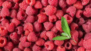 Raspberries leaf closeup food fruit - berry free wallpaper