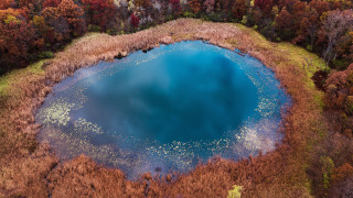 Blue lake autumn fall trees - the fall season free wallpaper