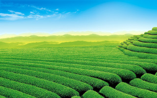 Green field mountains clouds city - chiho aoshima free wallpaper