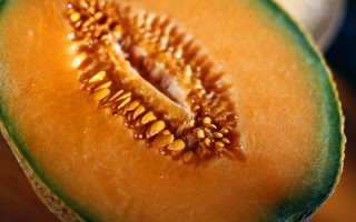 Fruit seeds macro feminist art - a close up of a piece free wallpaper