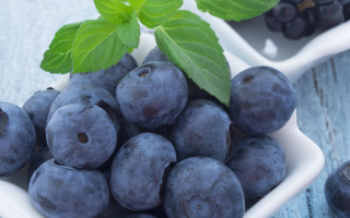 Blueberries leaf closeup photorealism stock - blueberry free wallpaper