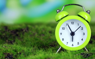 Green alarm clock grass nature - a green field of grass free wallpaper