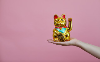 Person holding gold cat figurine - product photo free wallpaper