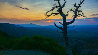 Sunset hill tree clouds beach - a sunset in the background free wallpaper