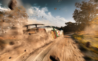Car dirtroad trees birds motionblur - andrew law free wallpaper
