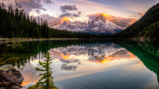 Mountain lake sunset pine forest - a colorful sky free wallpaper